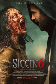 Siccin 6 (2019)